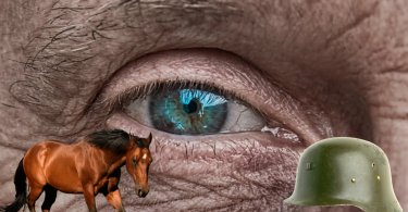Belki De Öyle, Belki De Değil