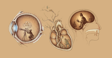 Neuroplastisite