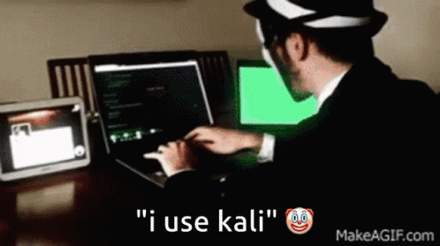 i use kali linux