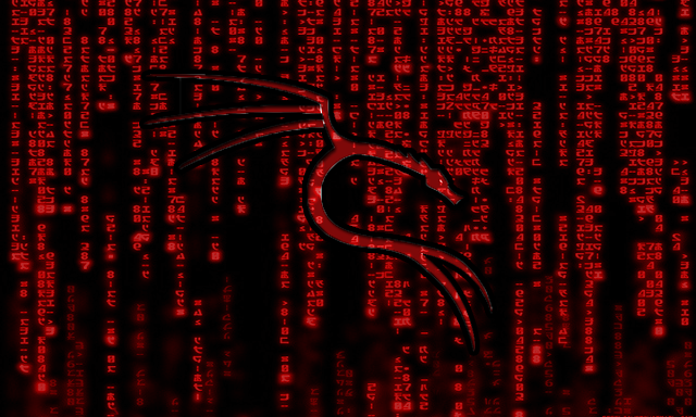 kali linux