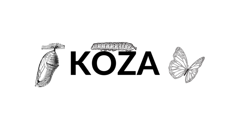 Koza yazısı ve ipek böceğinin yolculugu
