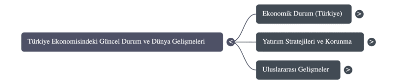 3 Eylül 2025 tarihli Cihat E. Çiçek'in konuşmasının zihin haritası